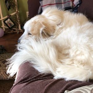 Meet your Posher, Bob